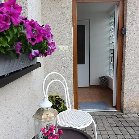 Lipno - U Kortisu Appartement Lipno nad Vltavou